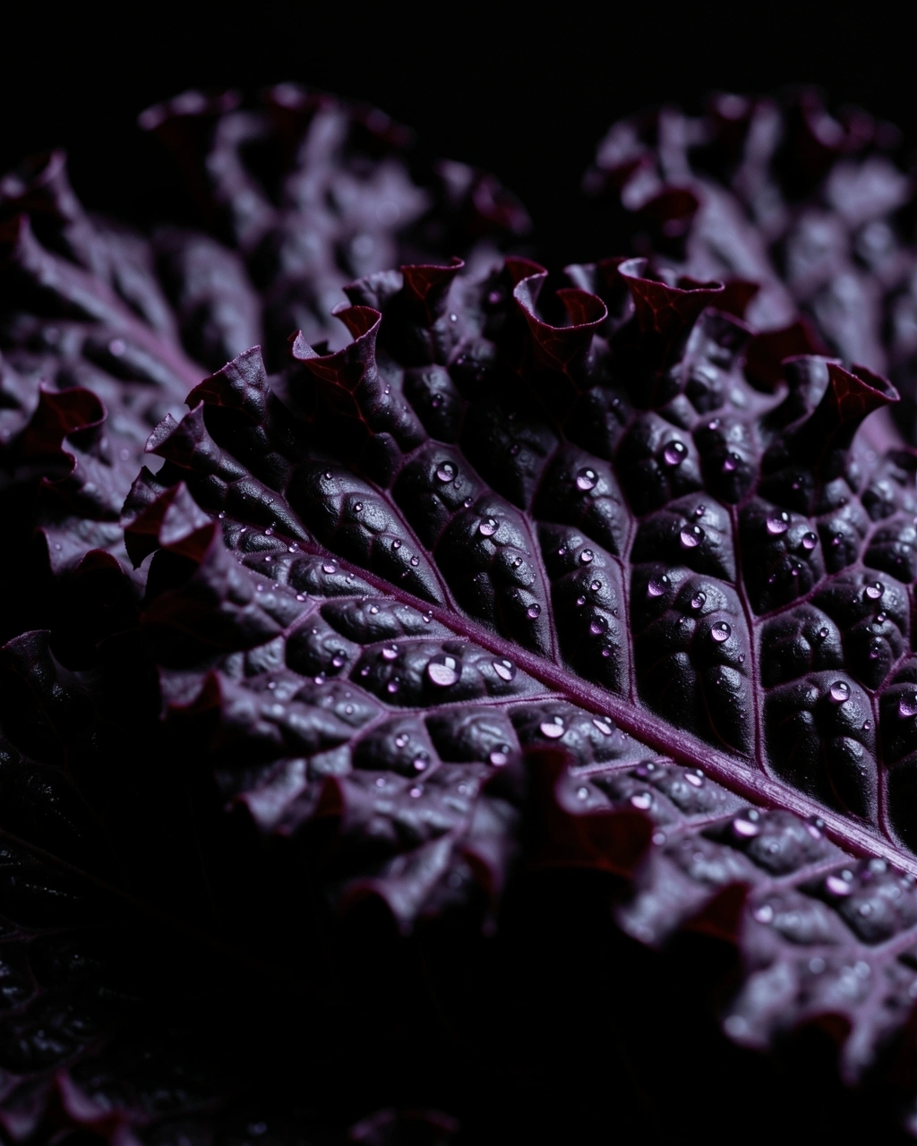 Botanische Details